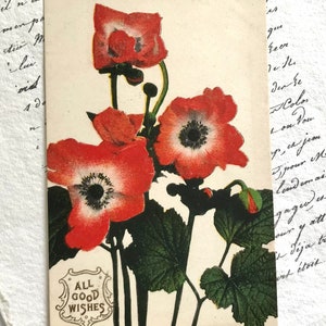 Antique Postcard, Red Poppies, Poppy, Souvenir, Valentines