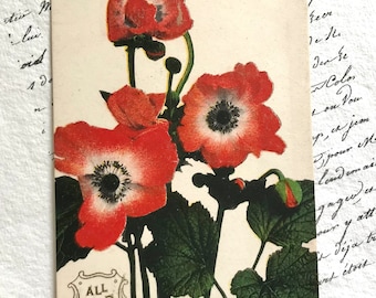 Antique Postcard, Red Poppies, Poppy, Souvenir, Valentines