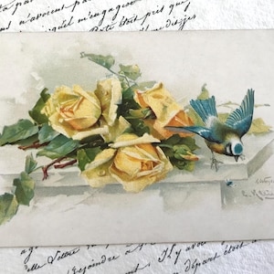 Antike Vogel Postkarte, Catherine Klein, Blaumeise und gelbe Rosen, signierte Kunst Postkarte