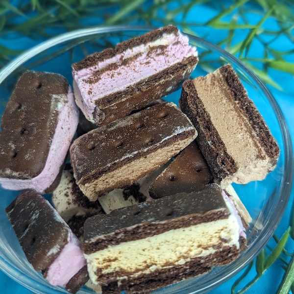 Cosmic Crunch: Freeze-Dried Neapolitan Ice Cream Sandwiches - A Blast of Strawberry, Vanilla & Chocolate!