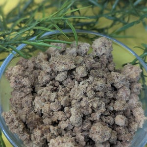 Freeze-Dried, Farm-Raised Mild Sausage, Farm-to-Fork Flavor in Every Bite Freeze Dried Mild Sausage