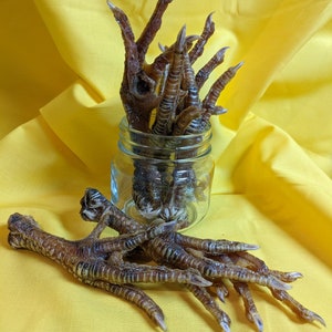 Dehydrated Chicken Feet: A Natural and Nutritious Way to Keep Your Dog Entertained