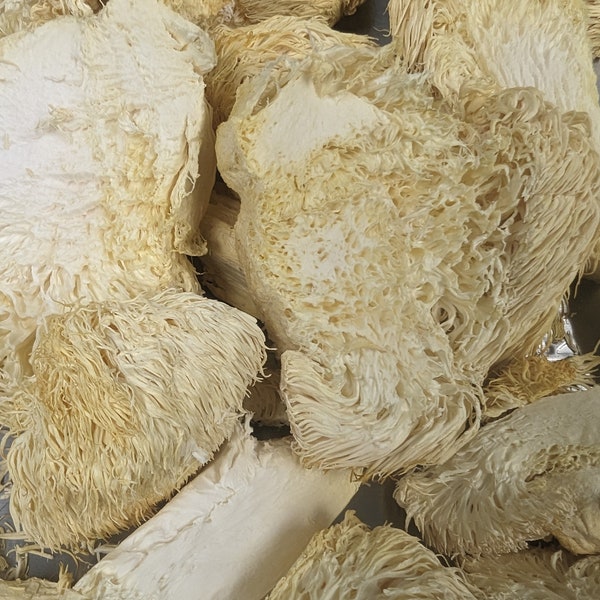 Freeze Dried Lion's Mane Mushroom