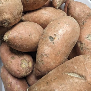Gefriergetrocknete Ahorn Zimt Süßkartoffeln