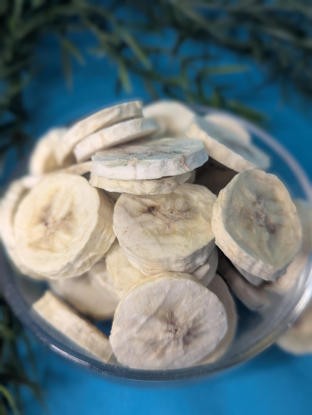 Freeze Dried Banana Slices - Etsy