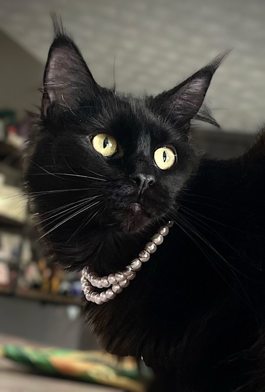 Pearl Breakaway Cat Collar
