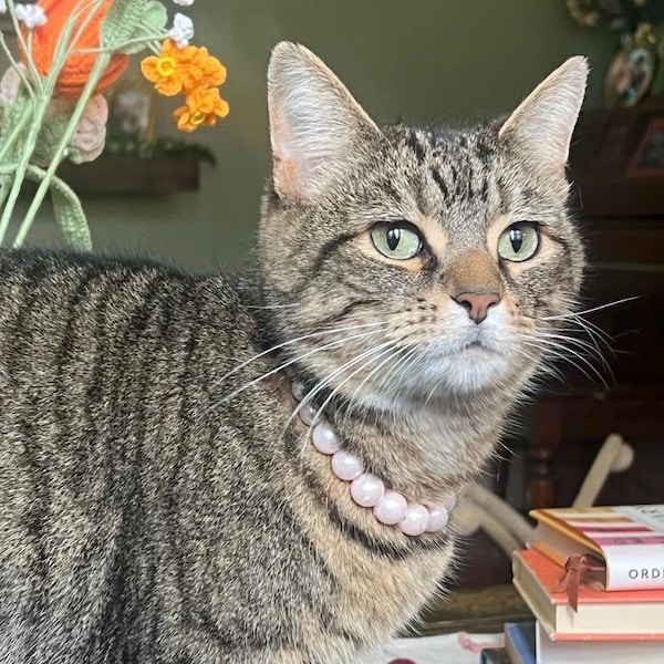 Breakaway pearl cat collar with bell
