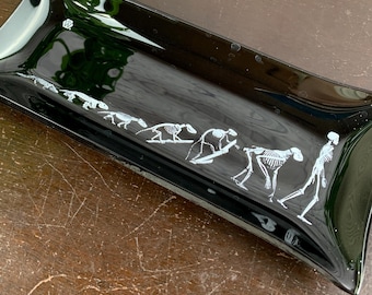 Mid Century Black Glass Plate with Lizard to Man Skeleton Evolution Print