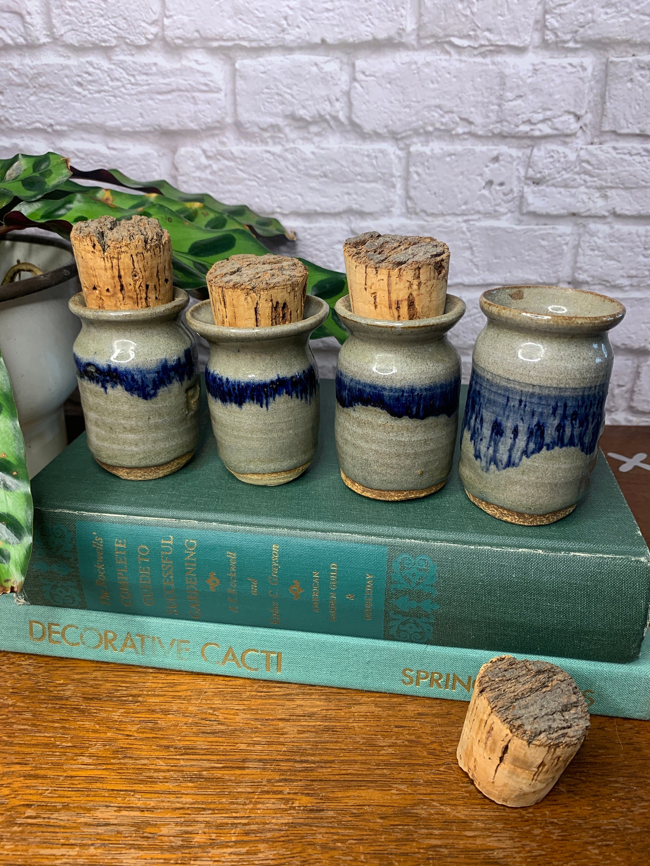 Ceramic Stoneware Spice Jars with Cork Lids Set of Four Paprika, Basil
