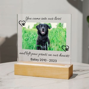 Pet Memorial Acrylic Plaque With Stand | Loss of Dog Gift, Loss of Cat Gift, In Loving Memory, Pet Bereavement Gift