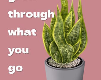 GROWTH