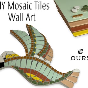 Mosaic Tiles Kit For Adults, Mosaic Craft Kit, Mosaic Art Supplies, Mosaic Starter Kit, Mosaic Art Kit, DIY Mosaic Wall Art, Adult Hobby Set