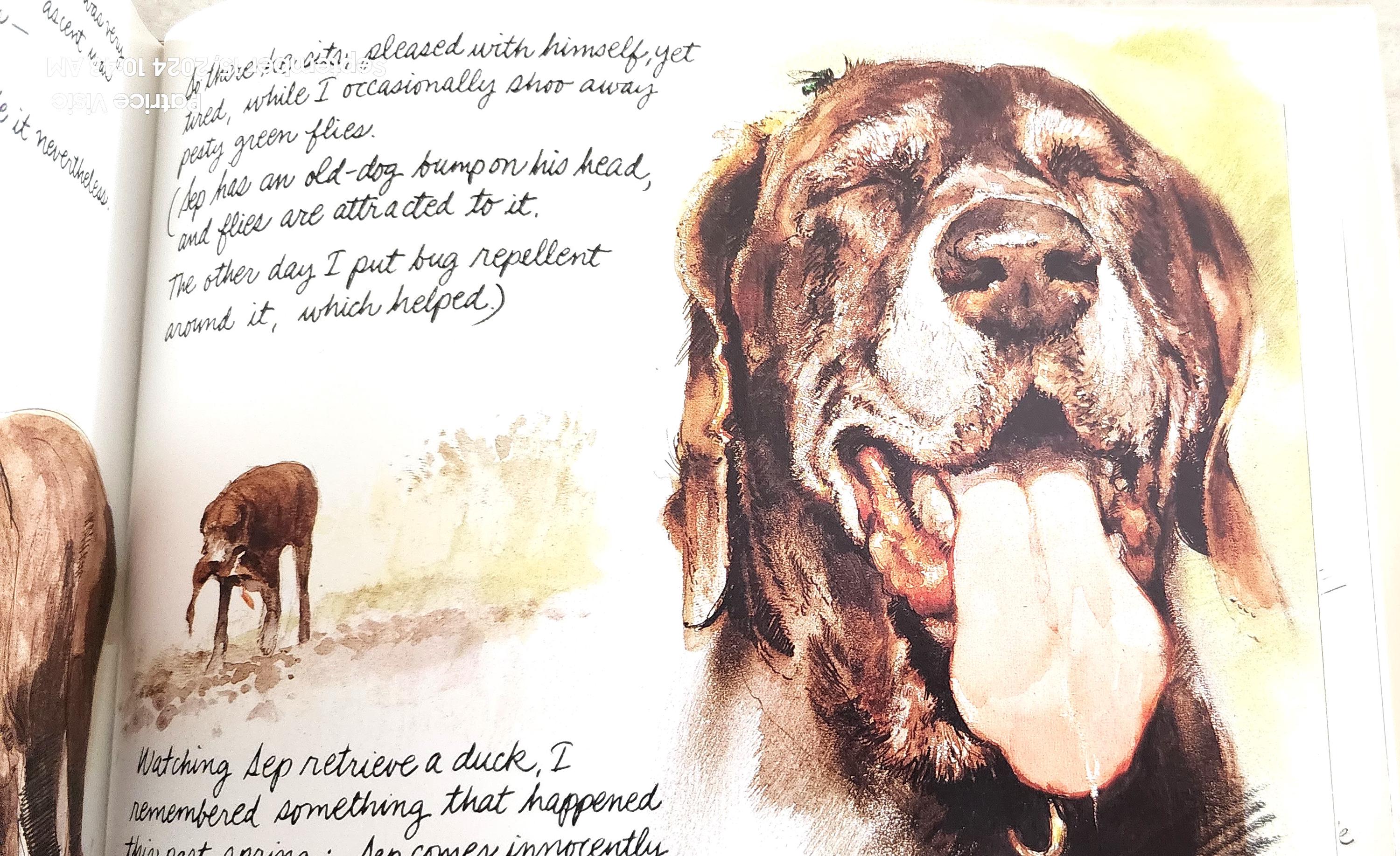 Dogs 作者Rien Poortvliet 水彩画(英語版) Dogs 作者Rien Poortvliet 水彩画(英語版)