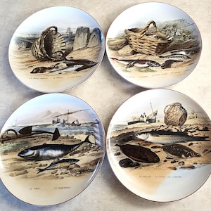 Vintage Sigma Tastesetter Seafood Plates: French Fruits de Mer, Set of 4