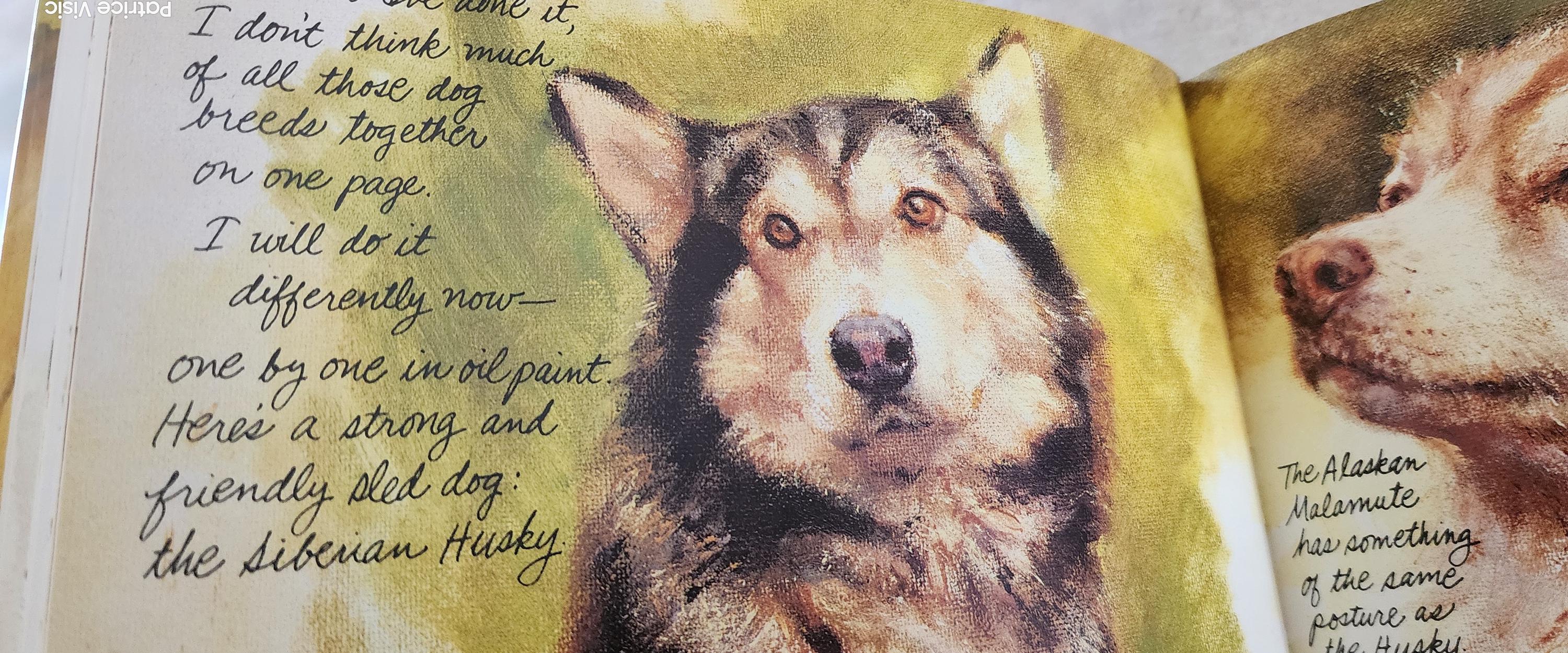 Rien Poortvliet Dogs Hardback Book With Dust Jacket