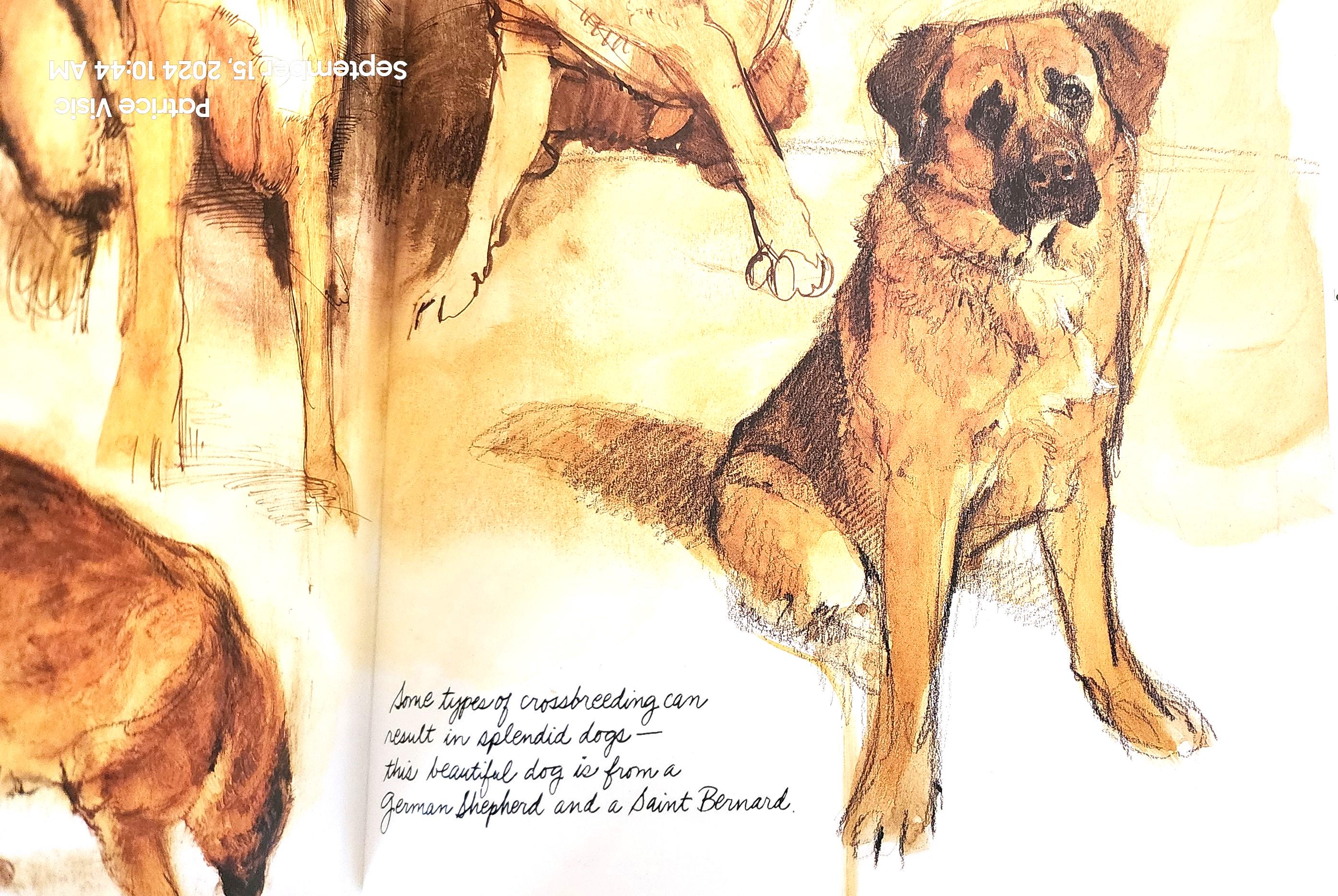 Rien Poortvliet Dogs Hardback Book With Dust Jacket