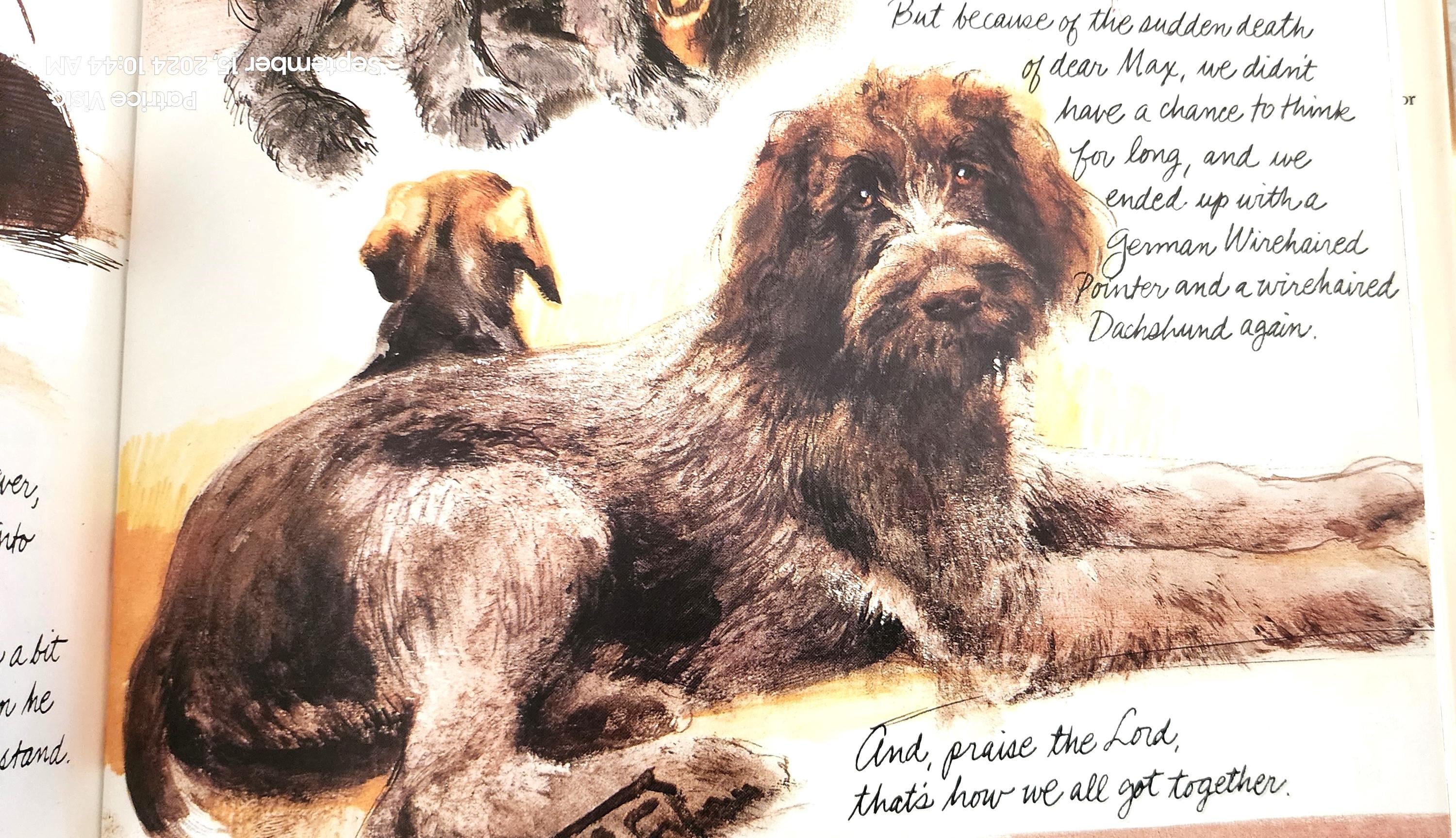 Rien Poortvliet Dogs Hardback Book With Dust Jacket