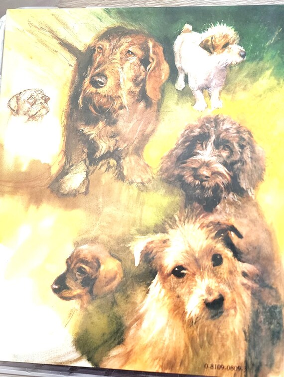 Rien Poortvliet Dogs Hardback Book With Dust Jacket