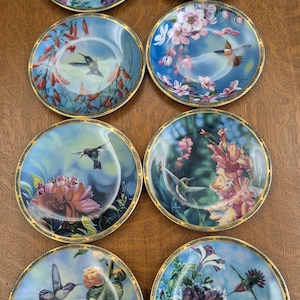 Può includere: Otto piatti decorativi con disegni di colibrì e fiori. Ogni piatto presenta una scena diversa con colibrì in volo, circondati da fiori e fogliame colorati. I piatti hanno bordi dorati e uno sfondo azzurro chiaro.
