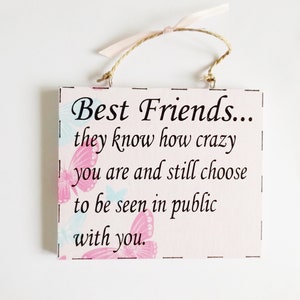 Crazy Best Friends Quote Wall Plaque Funny Friends Sign Ornament Home Wall Decor Meaningful Thoughtful Friendship Gift Idea