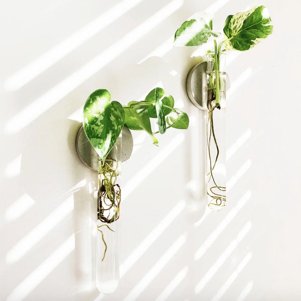 Concrete Modern Hanging Propagation Station, Hanging Plant Holder, Indoor Plant Holder, Plant Station Vial, Hanging Plant Holder