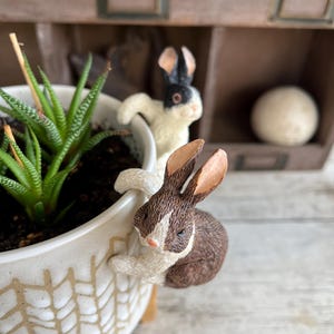 May include: A white ceramic planter with a brown and gold spiderweb design, holding a succulent plant. Two decorative bunny figurines, one brown and white, the other white and black, are attached to the planter.