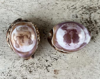 1 Hand Carved Horoscope Sign Cowrie Shell, Libra, Gemini