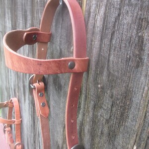 Têtière Et Breastcollar Cheval De Trait – Cuir Hermann Oak – Made In USA