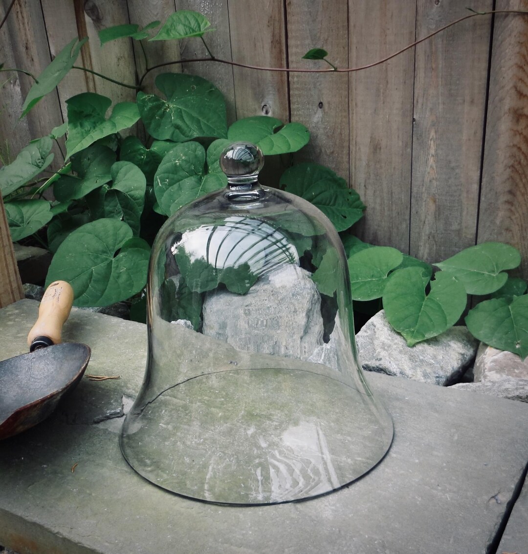 Antique Glass Cloche Dome Garden Display Large Hand Blown Terrarium ...