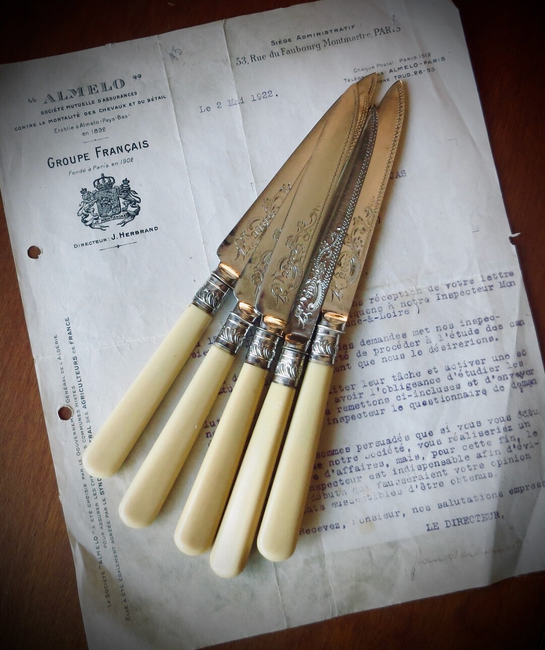 Vintage Fruit Knives Faux Bone Handles Engraved Dessert Cheese Etsy
