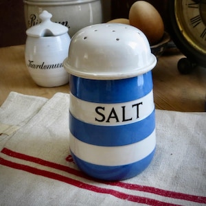 May include: A ceramic salt shaker featuring a rounded white lid with small perforations and a cylindrical body decorated with horizontal blue and white stripes. The word SALT is printed in black capital letters on the center white stripe.