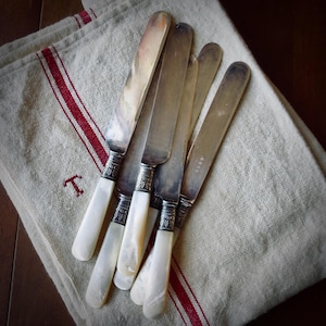 Vintage Mother of Pearl Butter Knives Set Cutlery Silverware Set of Six MOP Handle Knife