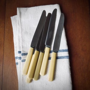 Vintage Knives Serving Utensils Faux Bone Silverware Set of Six Knife Cutlery Cottagecore Decor