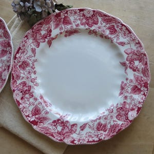 TWO Vintage Red Transferware English Dinner Plates Serving Dishes Transfer Ware Cottagecore Decor