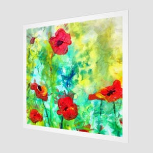 Poppy Flowers:  Square Art Print, Floral Art Illustration