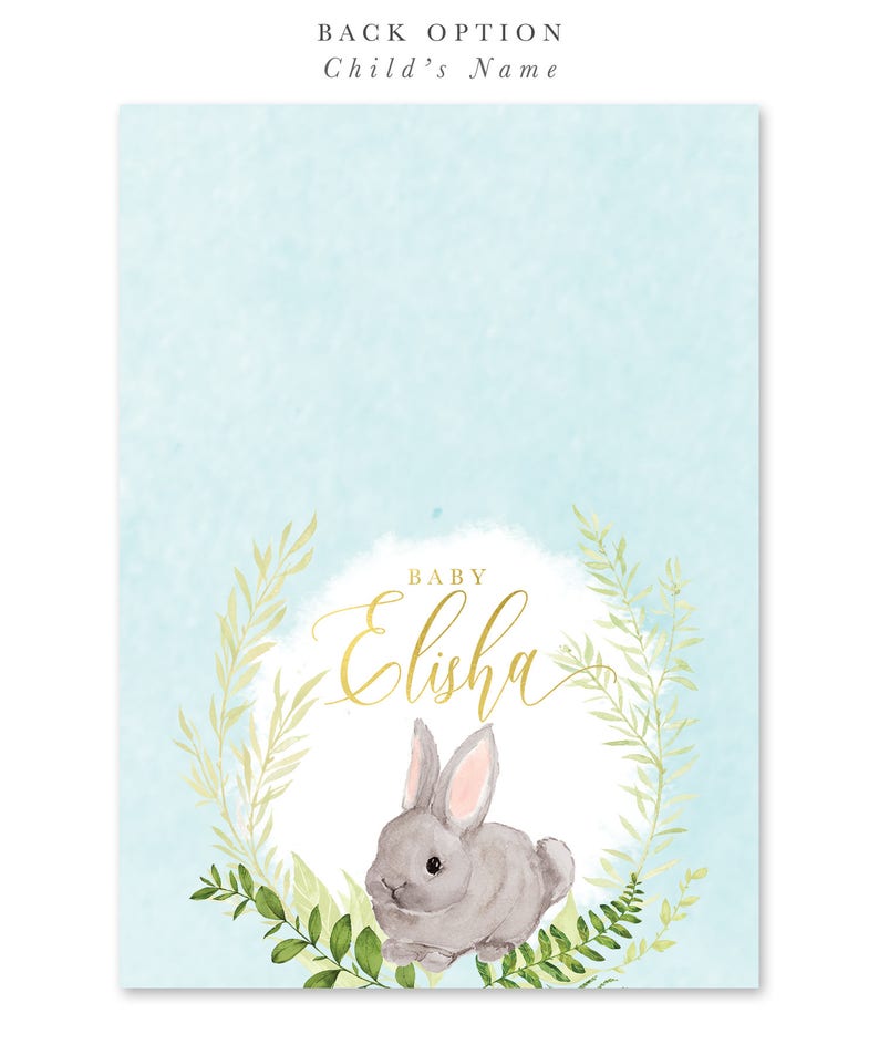 Bunny Baby Shower Invitation Boy A Little Bunny is on the Way Etsy