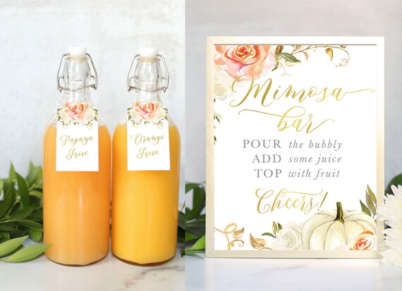Fall 3 Mimosa Bar Package Set: Mimosa Bar Sign & Poster, Mimosa Bar Tags, Kit White and Orange Florals With Pumpkin - Fall 3 Il_570xn