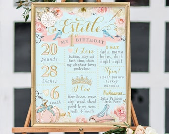 Cinderella Birthday Milestone Sign, Custom Printed or Printable, Cinderella 1st Birthday Milestone Board