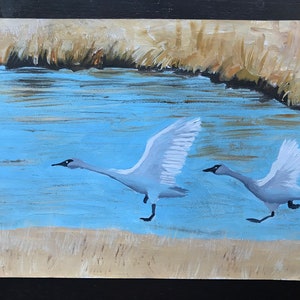 Trumpet Swans, acrylic painting on paper unframed, nature, landscape, gift for her, gift for him, waterfowl, Birthday, Christmas