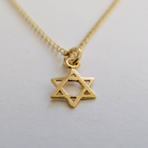 May include: A gold chain necklace with a small gold Star of David pendant.