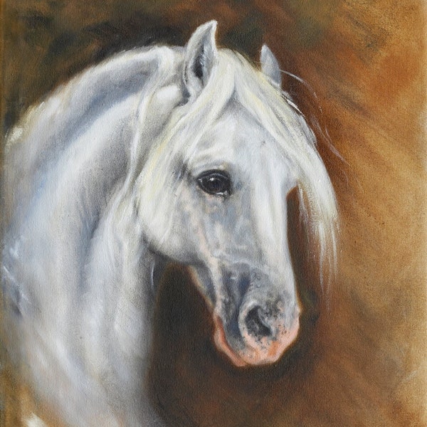 Lipizzaner horse - an original oil painting by K. Dalziel. Size 16 x 20 inches.