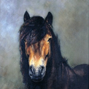 Exmoor Pony, signed Limited Edition print by Kathryn Dalziel