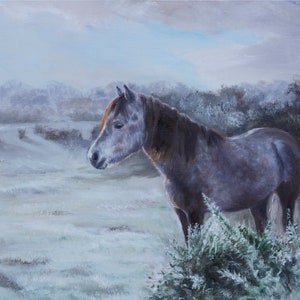 New Forest pony in the frost, oil on canvas painting by Kathryn Dalziel - New Forest artist