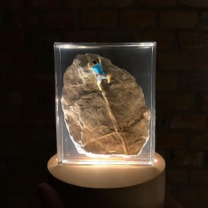 Peut inclure: Une scène d'escalade miniature dans une boîte en acrylique transparente. Une petite figurine bleue et jaune escalade le rocher brun texturé. L'ensemble est éclairé par le bas, posé sur une base ronde de couleur claire, contre un mur de briques sombres.