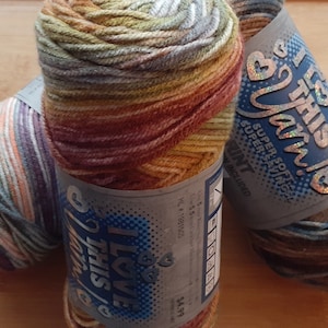 I Love This Yarn - Variegated  5oz - 236yds - Set C
