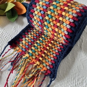 May include: A colorful crocheted scarf with a navy blue border and long fringe. The scarf is made with a variety of colors, including red, orange, yellow, green, blue, and brown.