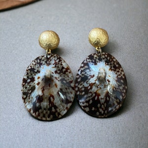 Kolekcja Calypso | Kolczyki Limpet Shell | Kolczyki Statement | Biżuteria z muszli morskich | Biżuteria letnia | Biżuteria kurortowa