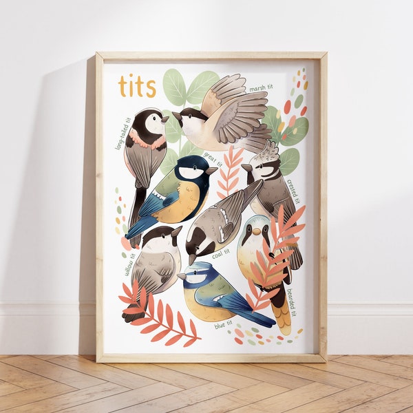 Tits, British garden birds Art Print - medium A4 unframed wall art print that is digitally illustrated for your bathroom or living room