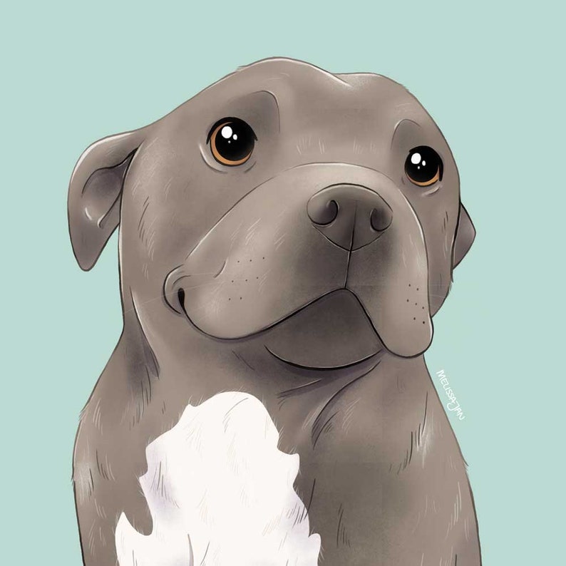 Pet Portrait Art Commission by a real human artist, dog and cat cartoon style digital illustration image 5