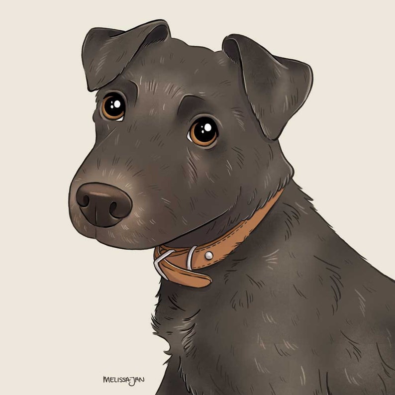 Pet Portrait Art Commission by a real human artist, dog and cat cartoon style digital illustration image 4